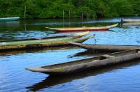 Canoes dreamtime