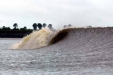 9 pororoca grantholm