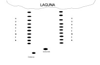 Valdivguahuntdrawing