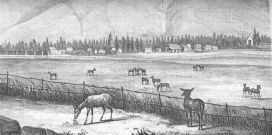 Tarma drawing william lewis herndon