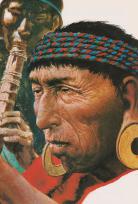 Tumbez orejon glanzman