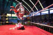 Bol paz fightingcholitas